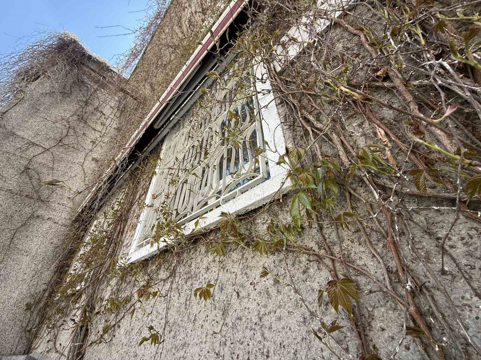 Eskişehir’de ‘Sarmaşıklı Camii’nin dış cephesi yeşermeye başladı
