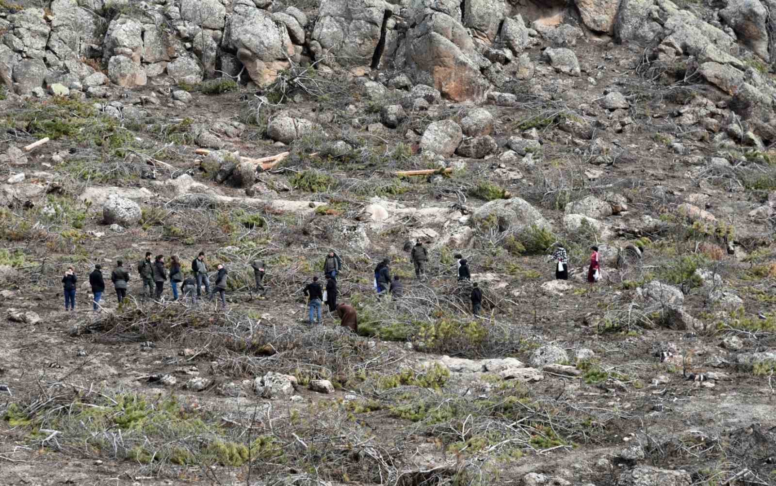 Eskişehir’de yangın sonrası ağaçlandırma çalışmaları başladı

