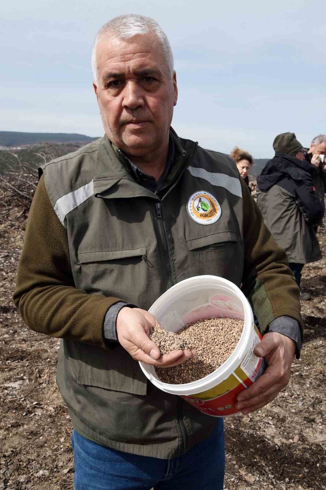 Eskişehir’de yangın sonrası ağaçlandırma çalışmaları başladı
