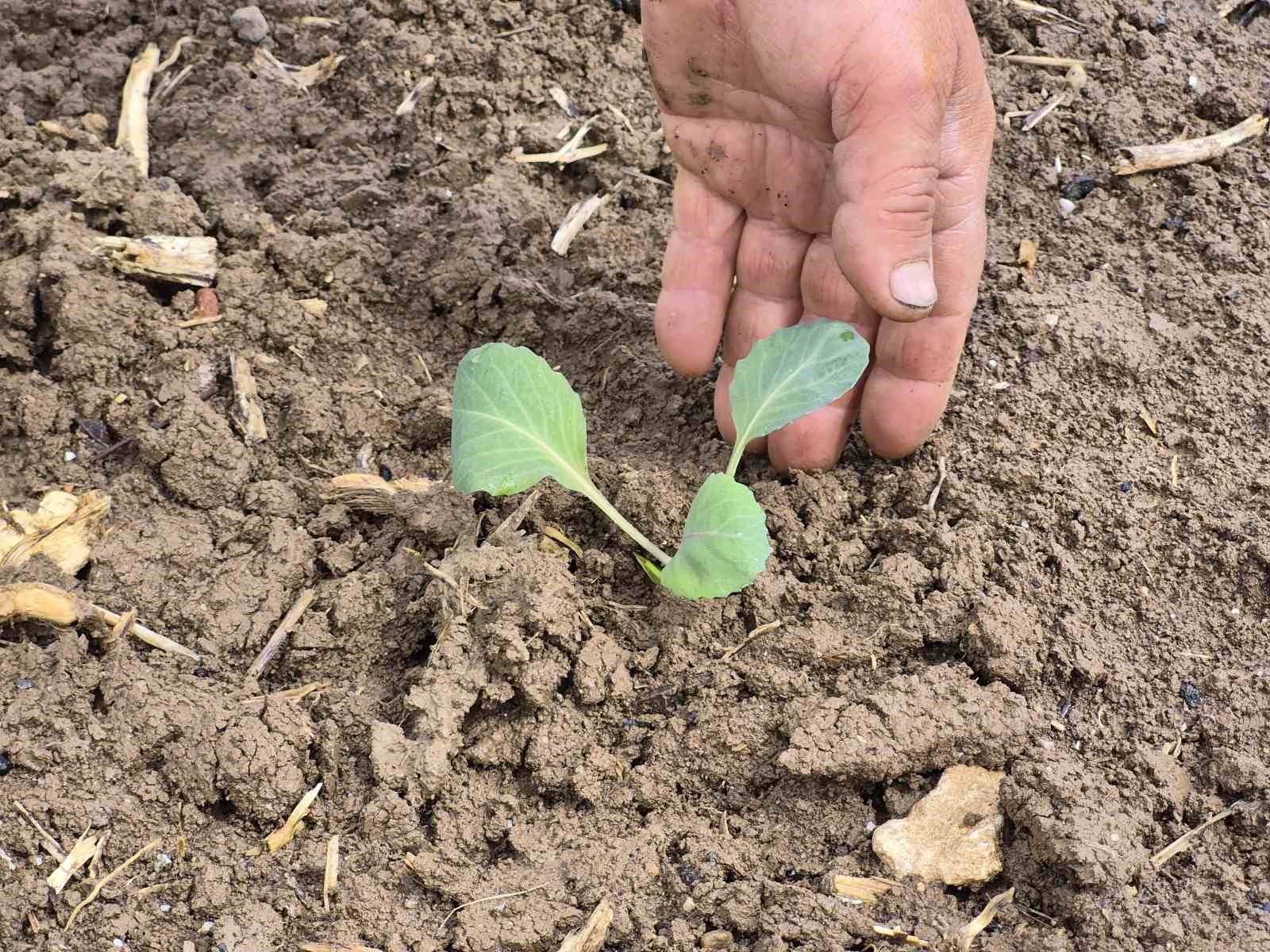 Eskişehir’de yılın ilk tohum ve fideleri toprakla buluştu
