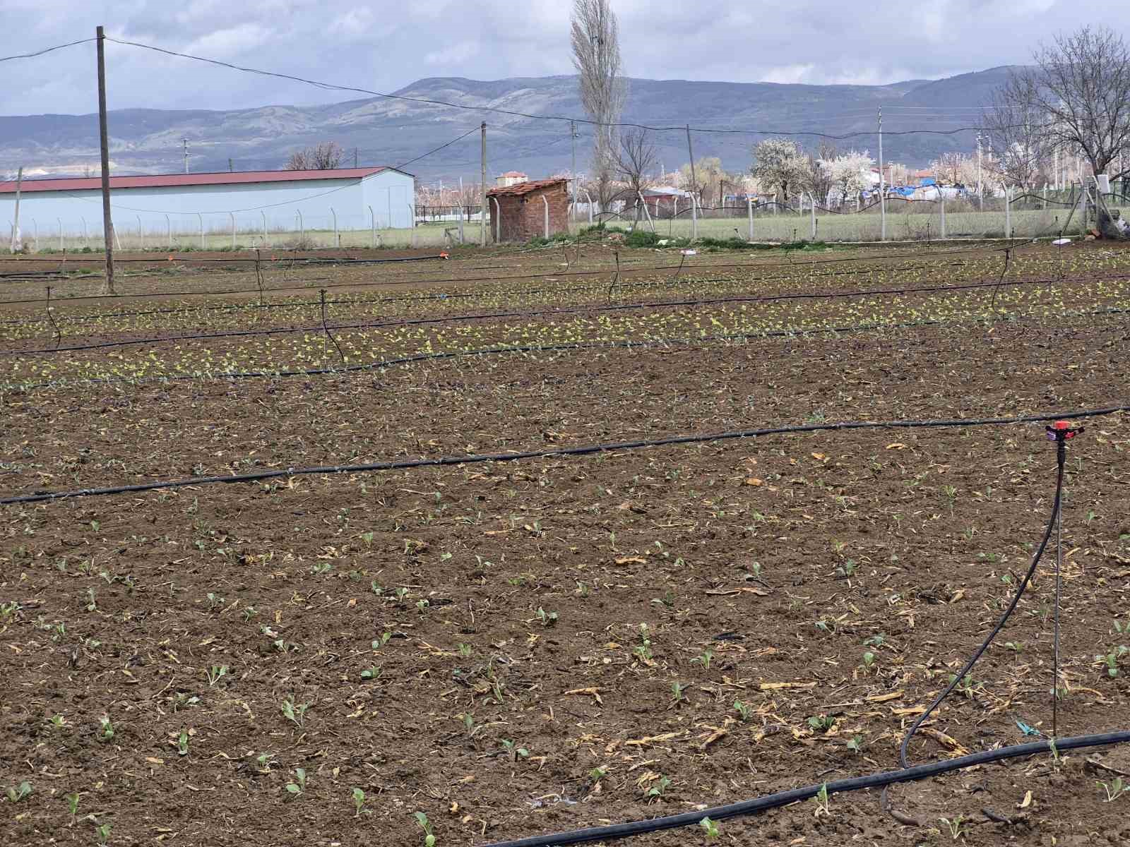 Eskişehir’de yılın ilk tohum ve fideleri toprakla buluştu
