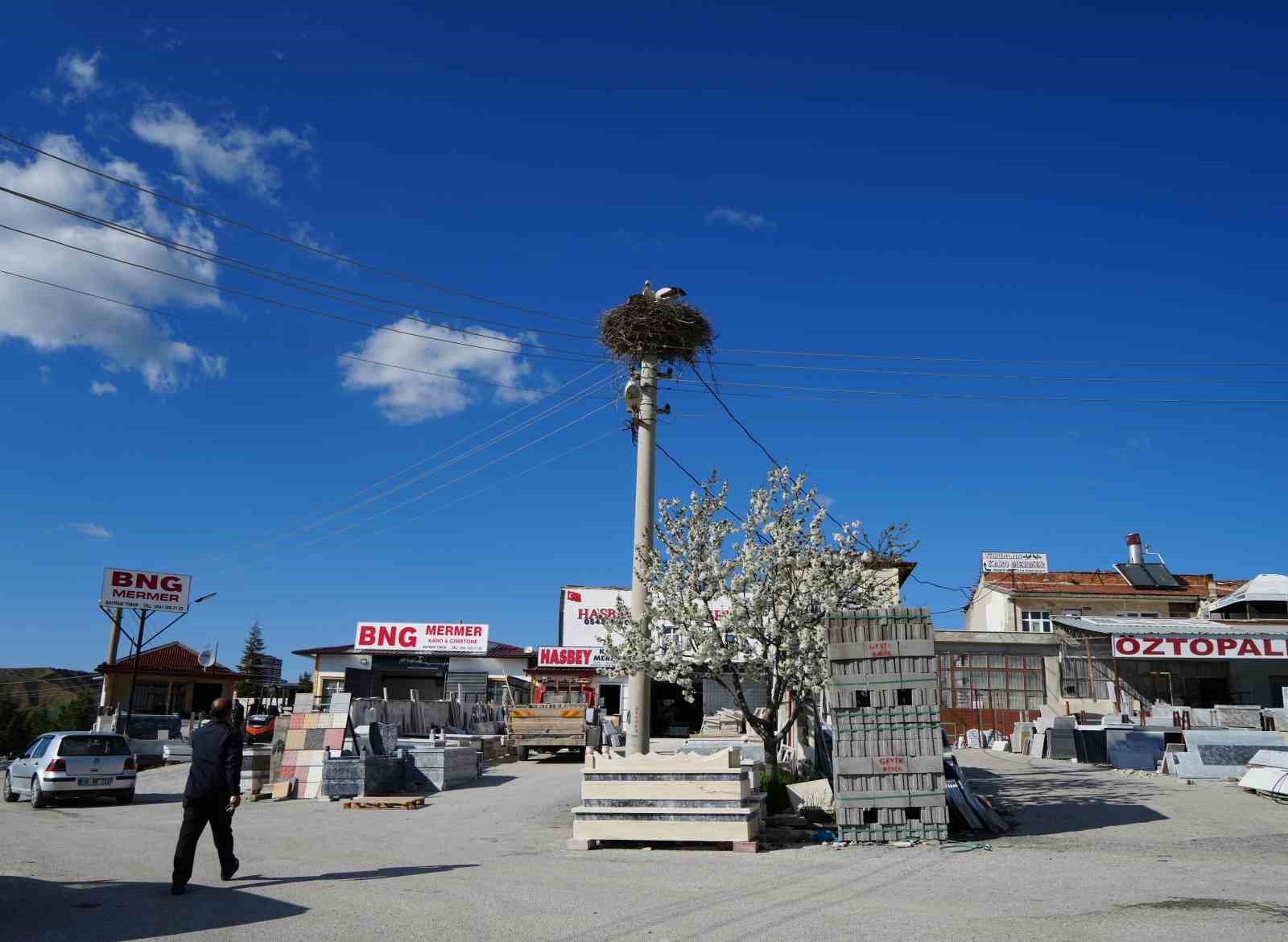 Esnafın merakla beklediği Rüzgar ve Nergis, 4’üncü yılında da aynı yuvaya döndü
