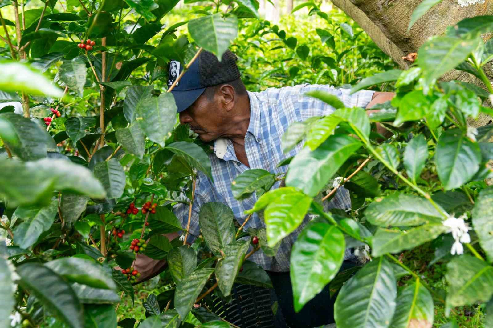 Espressolab’den kahve üretiminde şeffaf ve izlenebilir sistem
Espressolab’den kahve üretiminde şeffaf ve izlenebilir sistem