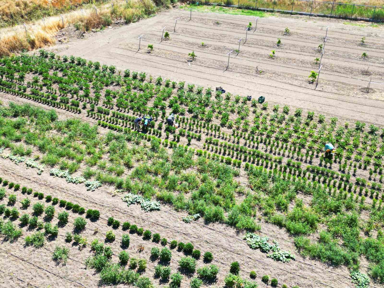 Eti Alüminyum 2025’te katma değerli üretime odaklandı
Eti Alüminyum 2025’te katma değerli üretime odaklandı