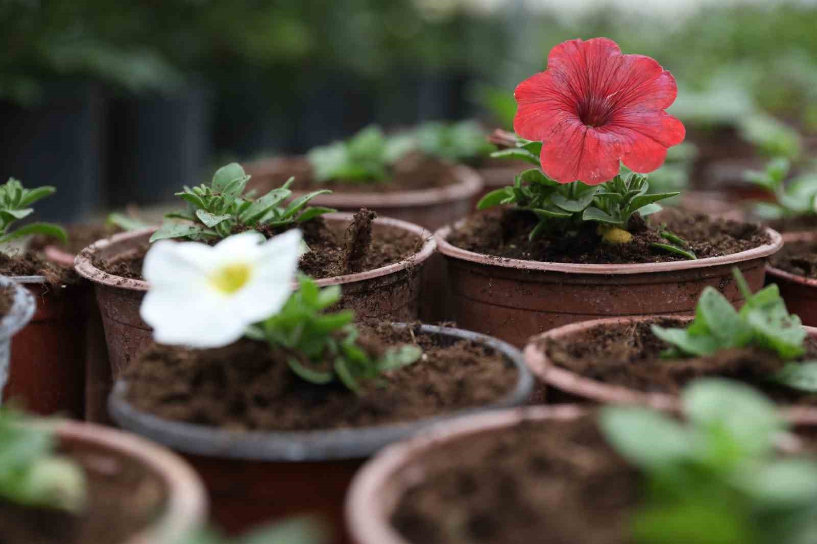 Ev hanımı kendi işinin patronu oldu
