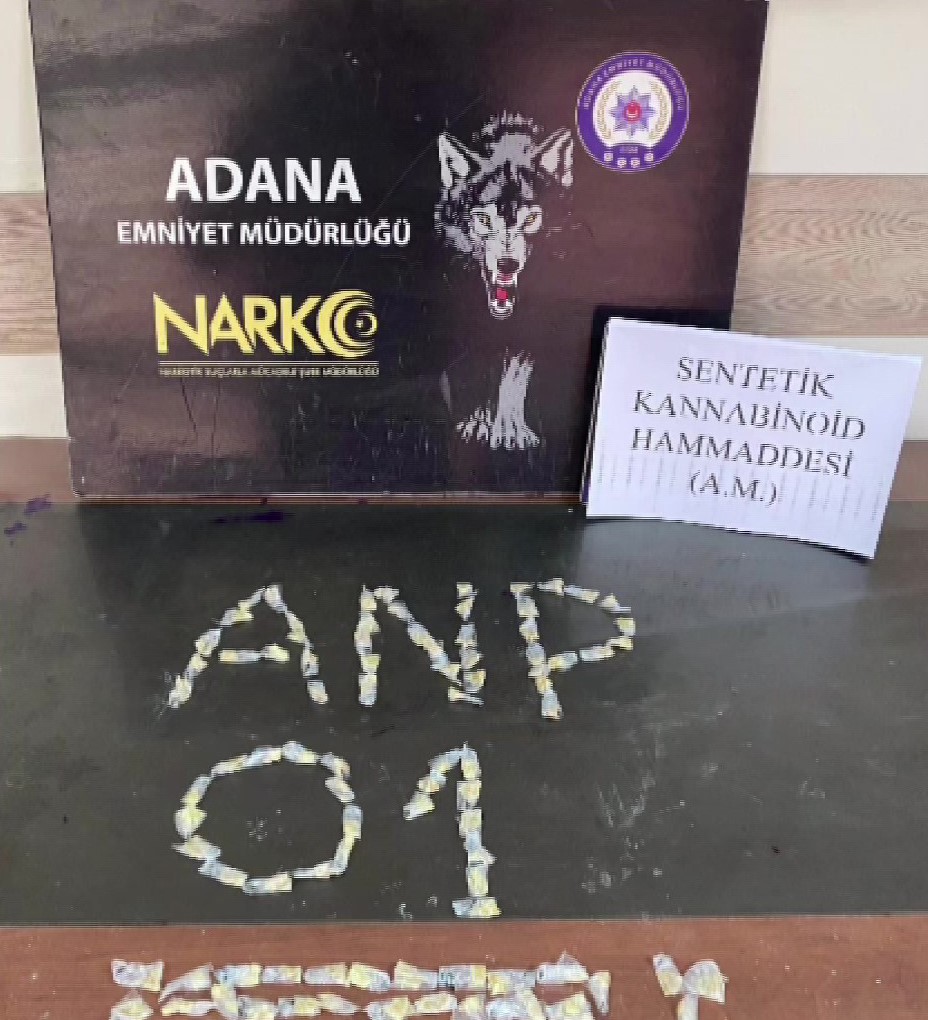 Evinde kilolarca bonzai yapacak hammadde ele geçirildi: "Uygun bulunca toplu alıyorum, içiciyim" dedi
