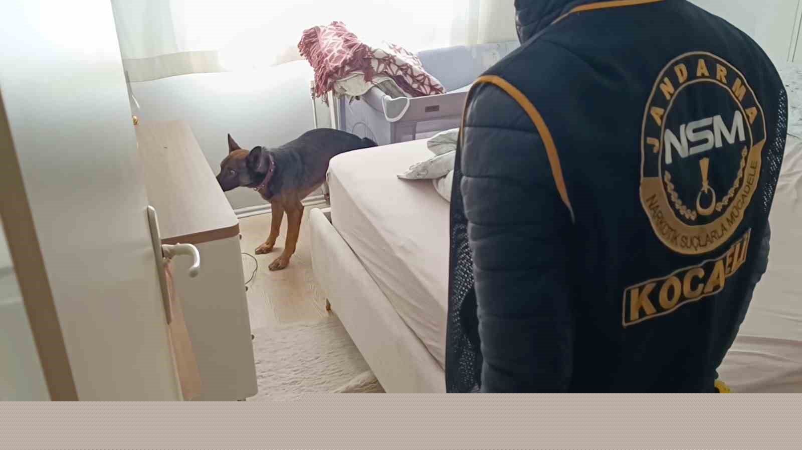 Evleri uyuşturucu serasına, tuvaletleri laboratuvara çevirmişler: 36 gözaltı
