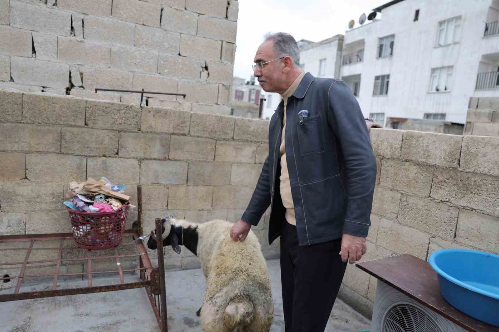 Eyyübiye’de 400 aileye ‘koç’ sürprizi
Eyyübiye’de 400 aileye ‘koç’ sürprizi