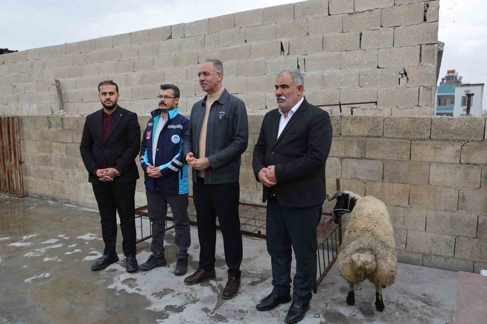 Eyyübiye’de 400 aileye ‘koç’ sürprizi
Eyyübiye’de 400 aileye ‘koç’ sürprizi