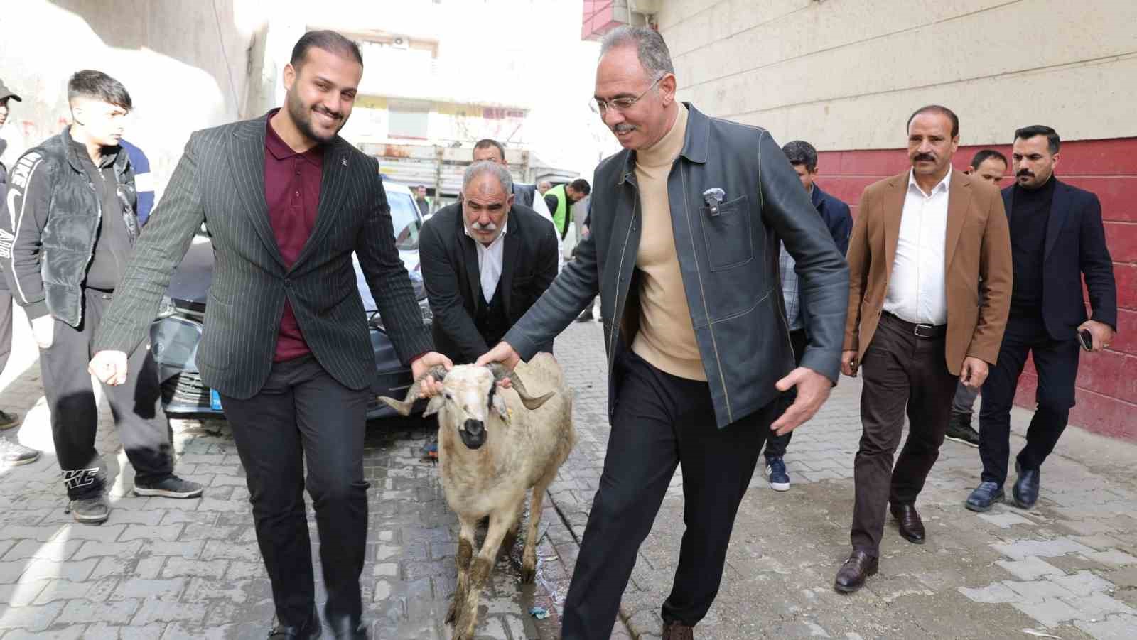 Eyyübiye’de 400 aileye ‘koç’ sürprizi
Eyyübiye’de 400 aileye ‘koç’ sürprizi