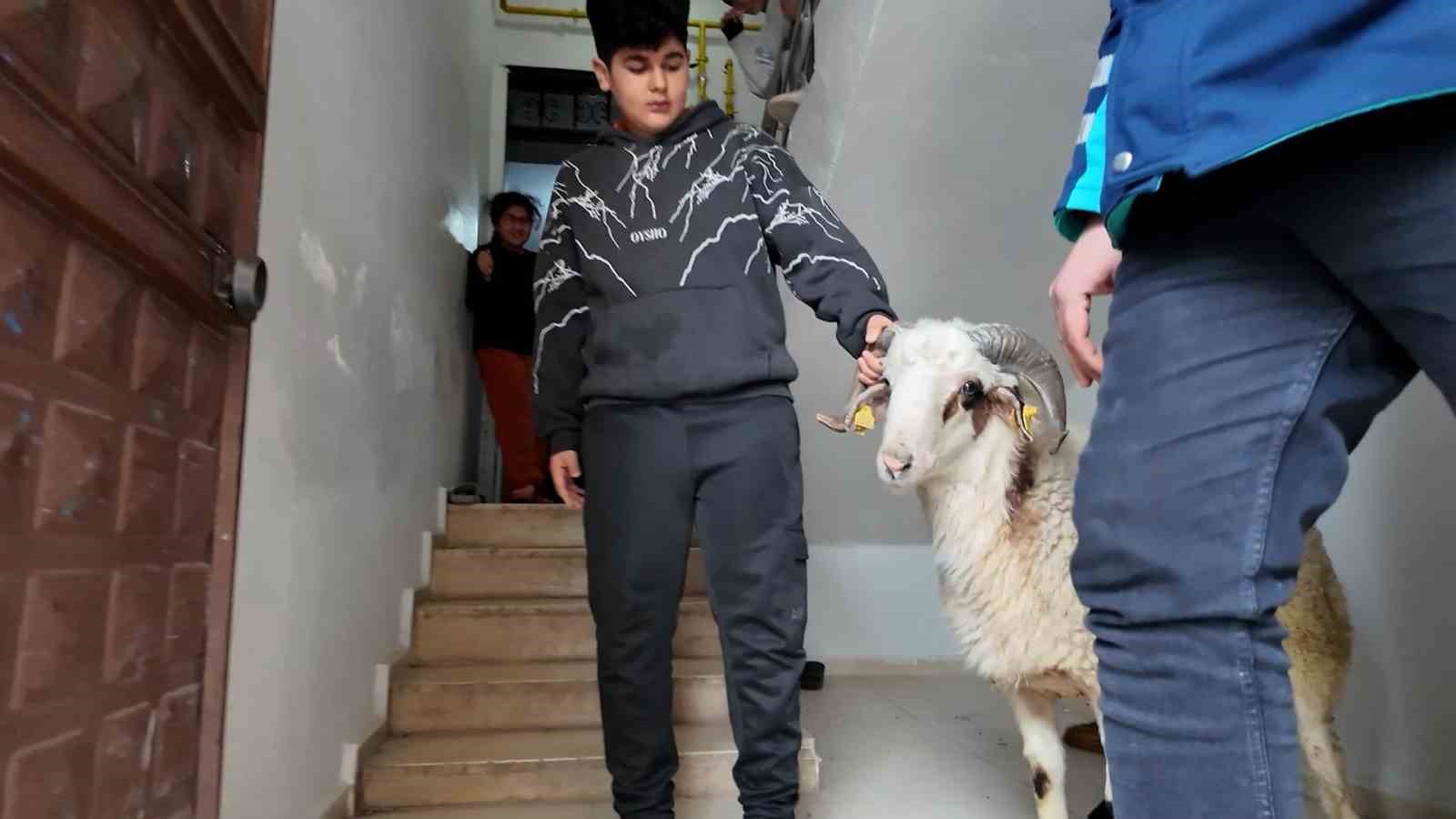 Eyyübiye’de yetimin yüzü güldü
Eyyübiye’de yetimin yüzü güldü