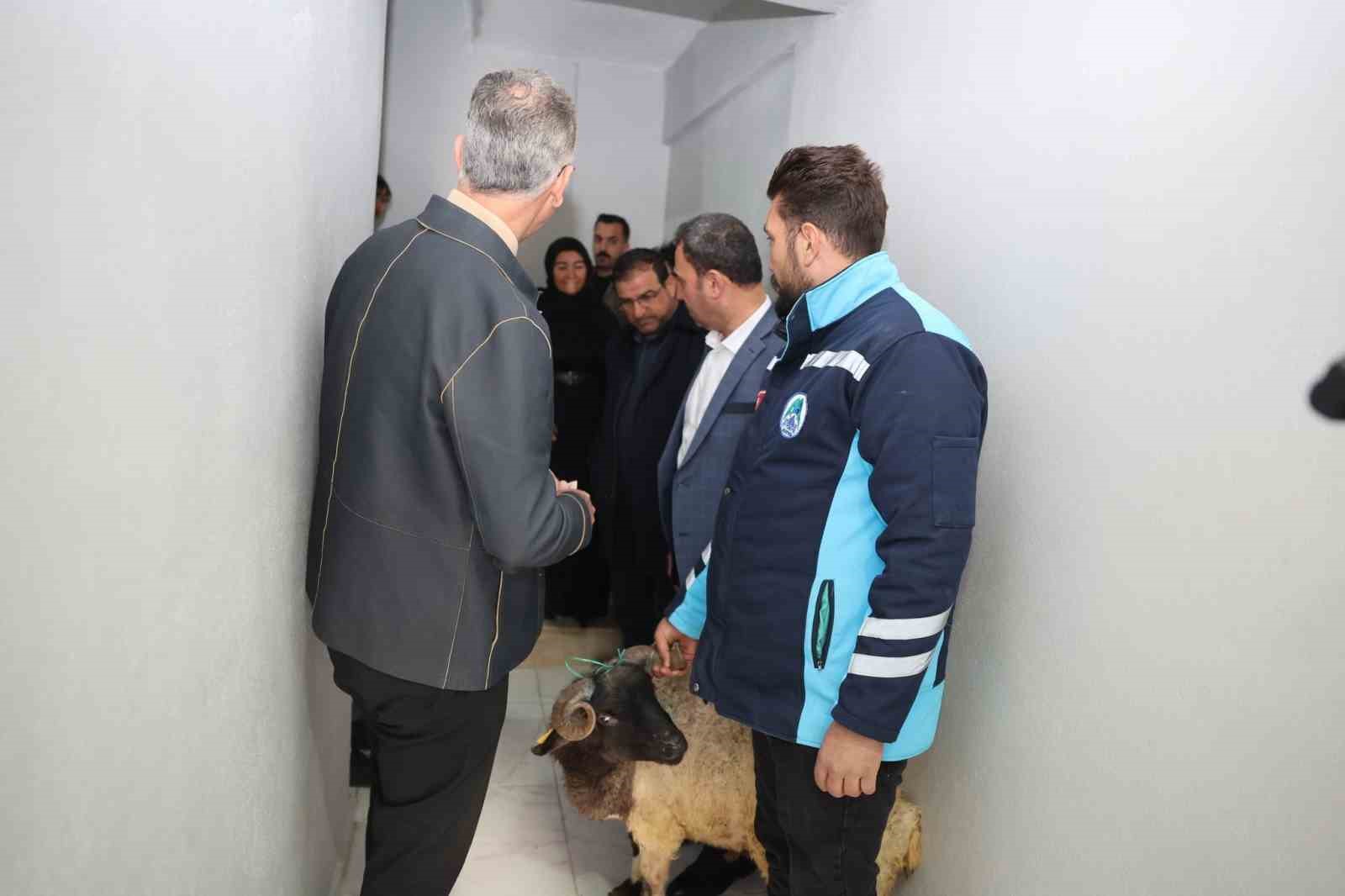 Eyyübiye’de yetimin yüzü güldü
Eyyübiye’de yetimin yüzü güldü