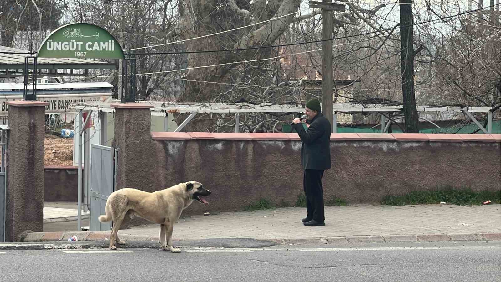 Ezanla birlikte uluyan köpek dikkat çekti
