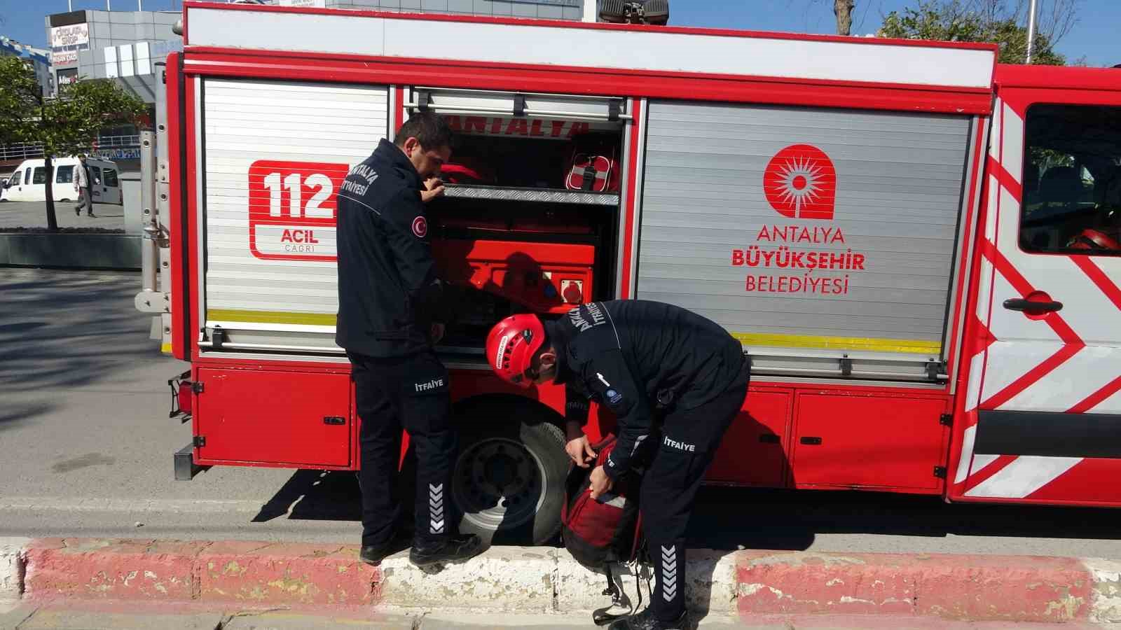 Falezlerde mahsur kaldığı sanılan kedilerin keyfi ‘ihbarla’ son buldu
