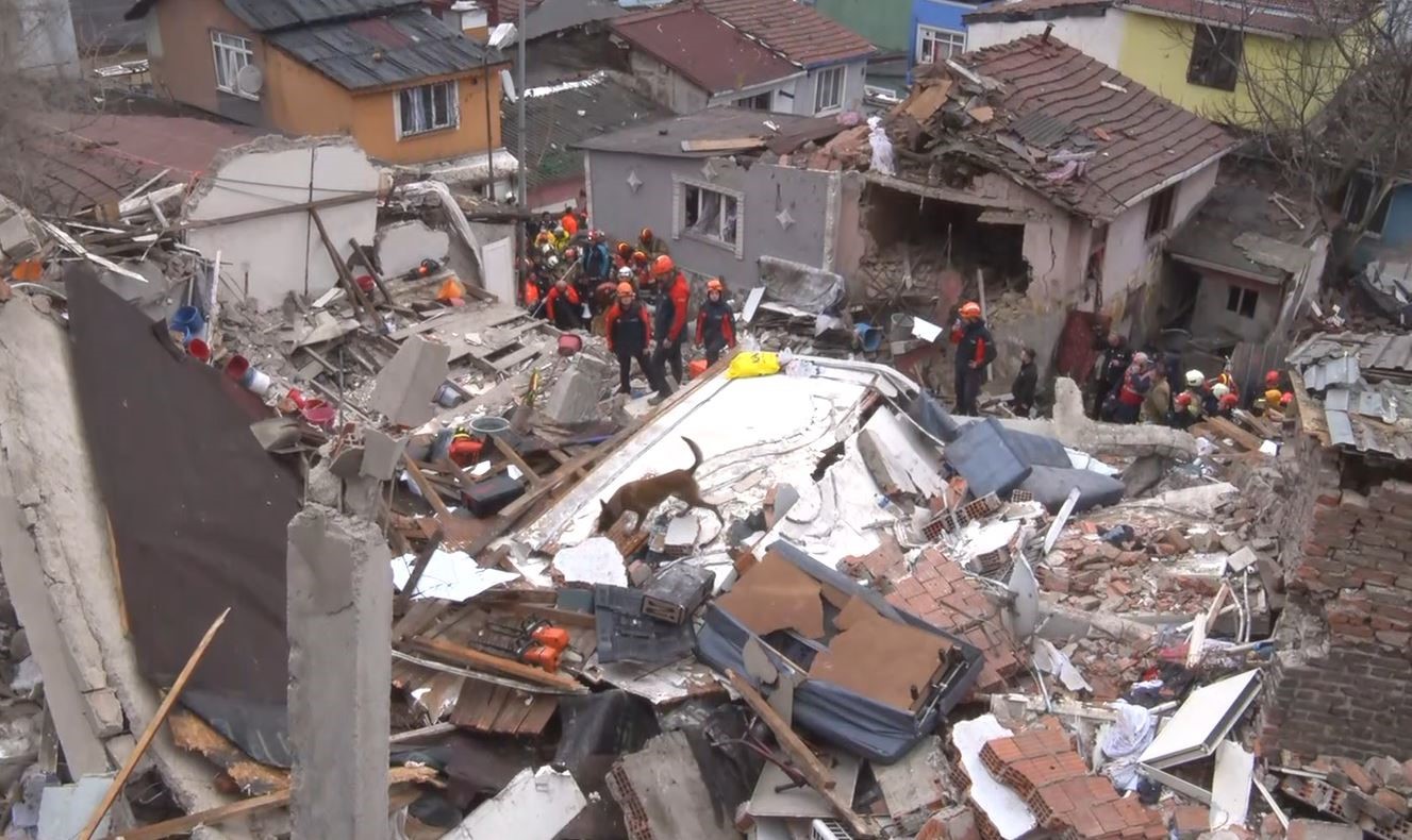 Fatih’te çöken binada enkaz altında kalanları kurtarma çalışmasına köpeklerde katıldı
