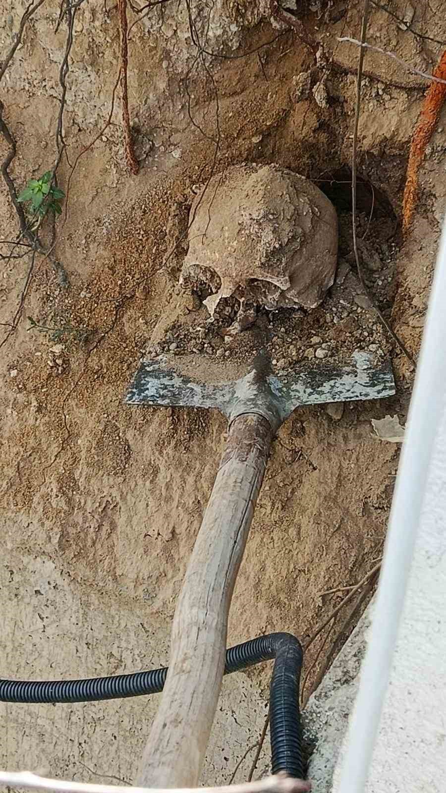 Fidan dikimi sırasında insan kafatası ve kemik parçaları bulundu
