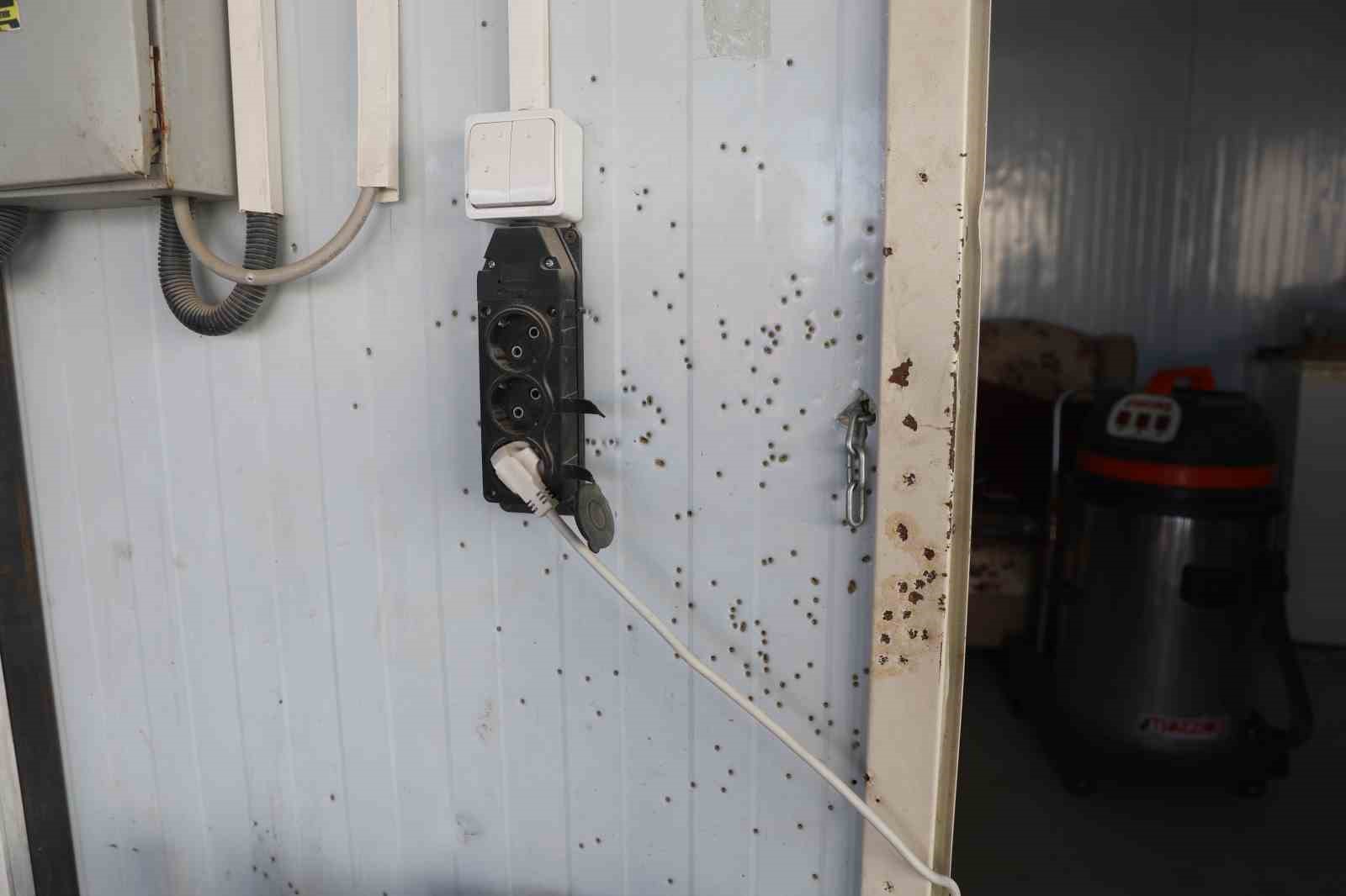 Film sahnelerini aratmayan görüntü: Motosikletle gelen maskeli 2 şahıs pompalı tüfeklerle iş yerini kurşunladı
