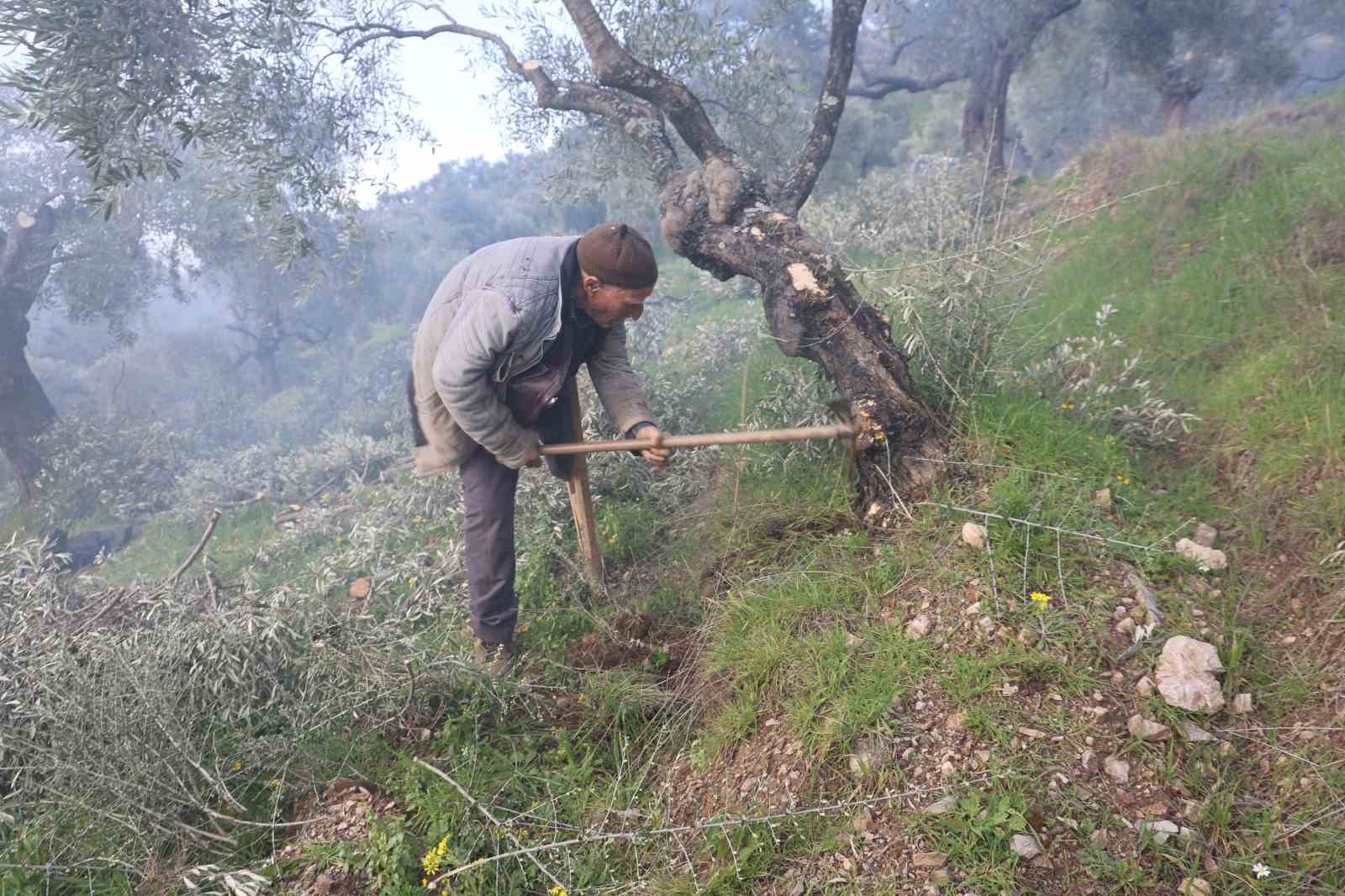 Film sahnesi değil gerçek hayat
