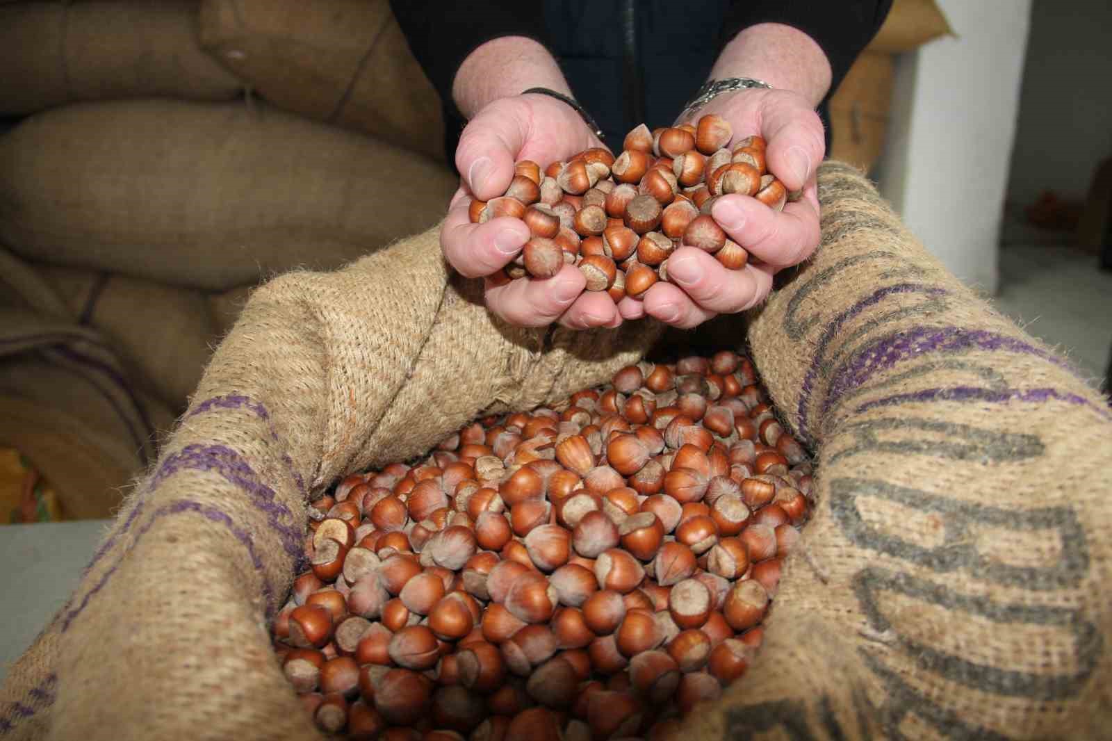 Fındık fiyatları durağan seyrini sürdürüyor
