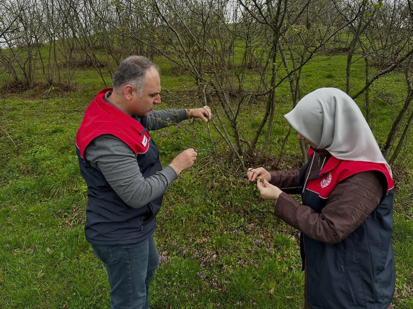 Fındık üreticilerine "kozalak akarı" ve "külleme" uyarısı
Fındık üreticilerine "kozalak akarı" ve "külleme" uyarısı