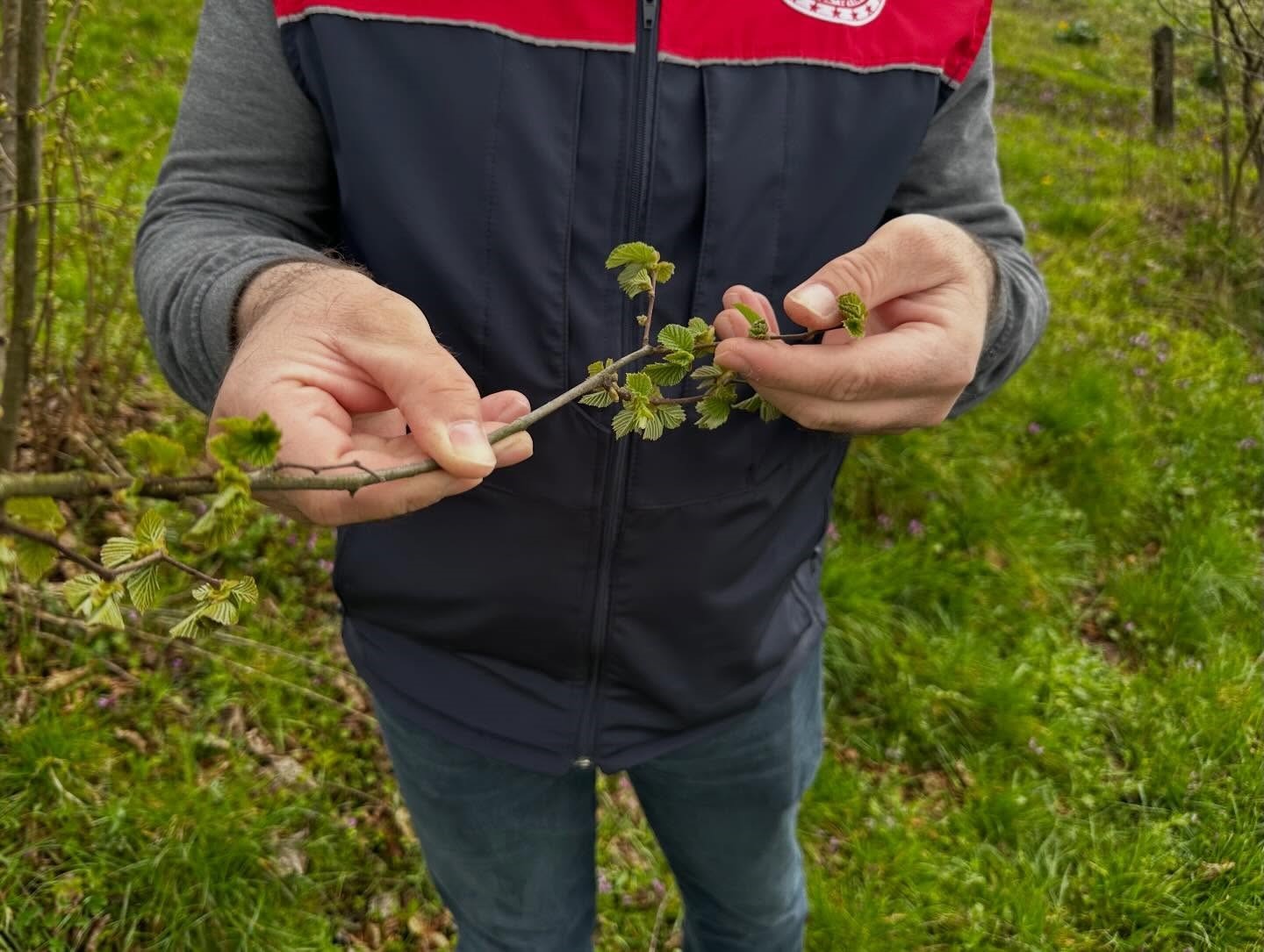 Fındık üreticilerine "kozalak akarı" ve "külleme" uyarısı
Fındık üreticilerine "kozalak akarı" ve "külleme" uyarısı