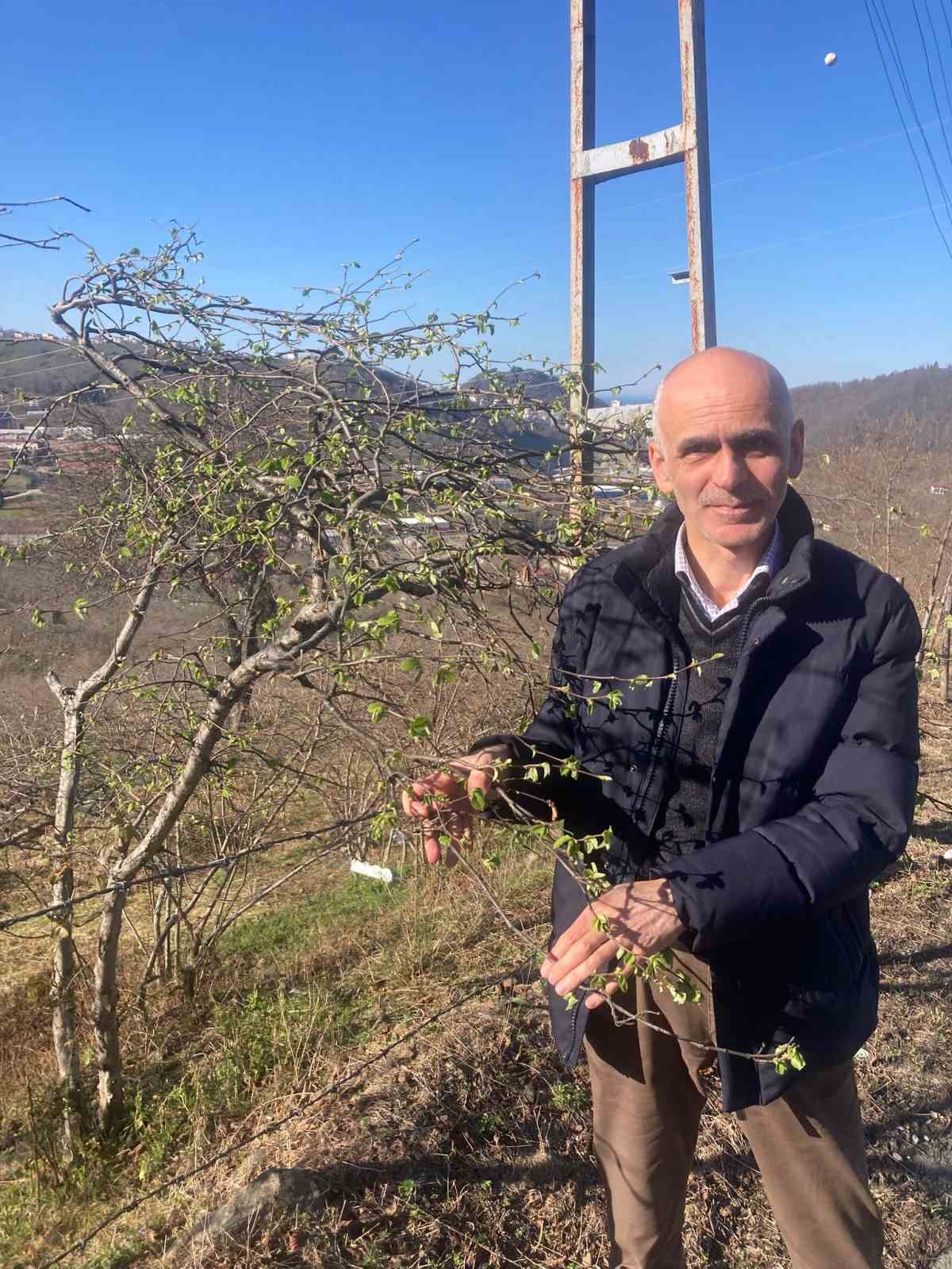 Fındık üreticilerine sigorta uyarısı
