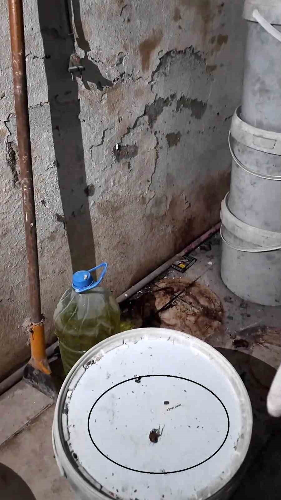 Fırında ortaya çıkan görüntülere tepki gösteren zabıta müdürü: "Fareyi geçtim, yılan çıkacak diye korkuyorum"
