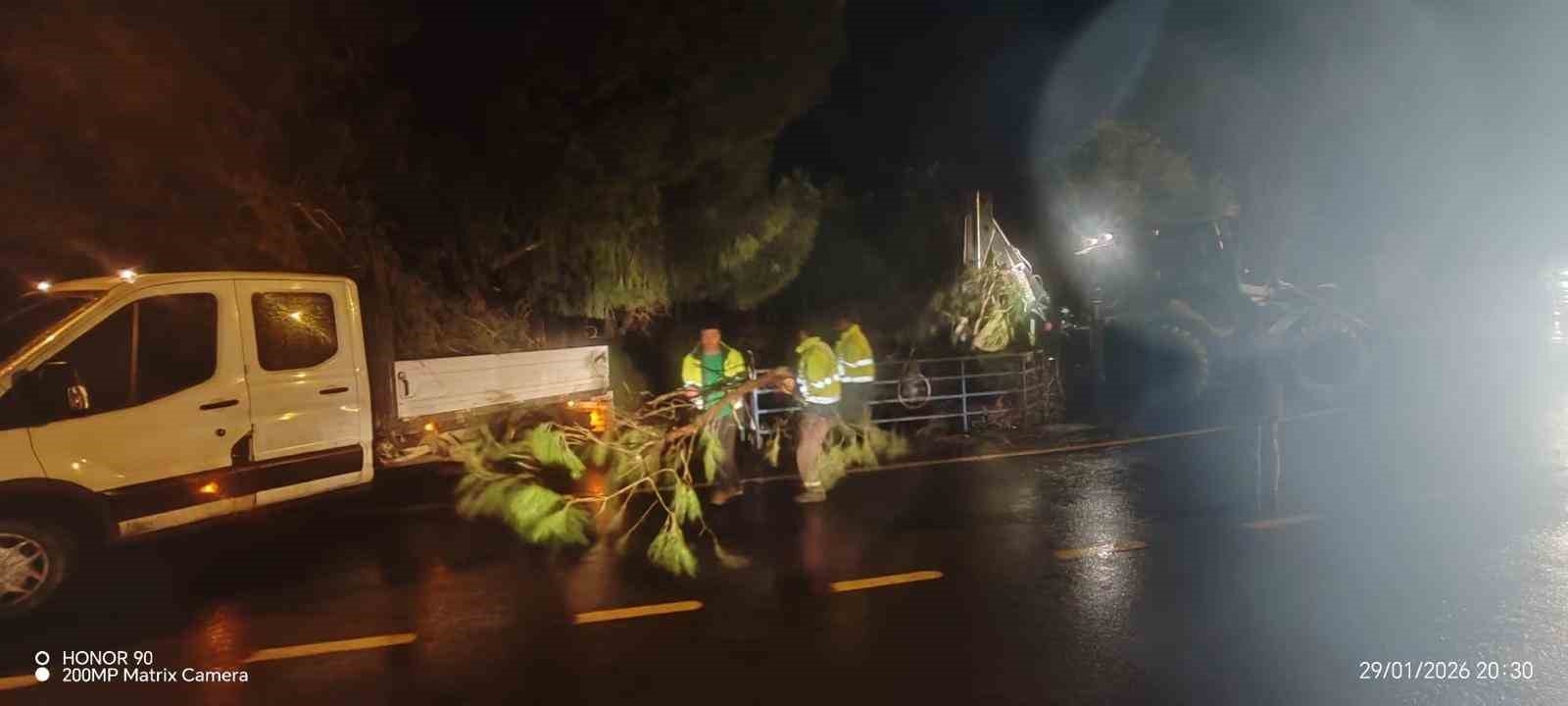 Fırtına mezarlıkta ağaçları devirdi, belediye ekipleri anında müdahale etti
