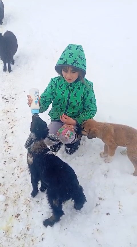 Fırtınada kaybolan kuzu 3 gün sonra sağ bulundu
Fırtınada kaybolan kuzu 3 gün sonra sağ bulundu
