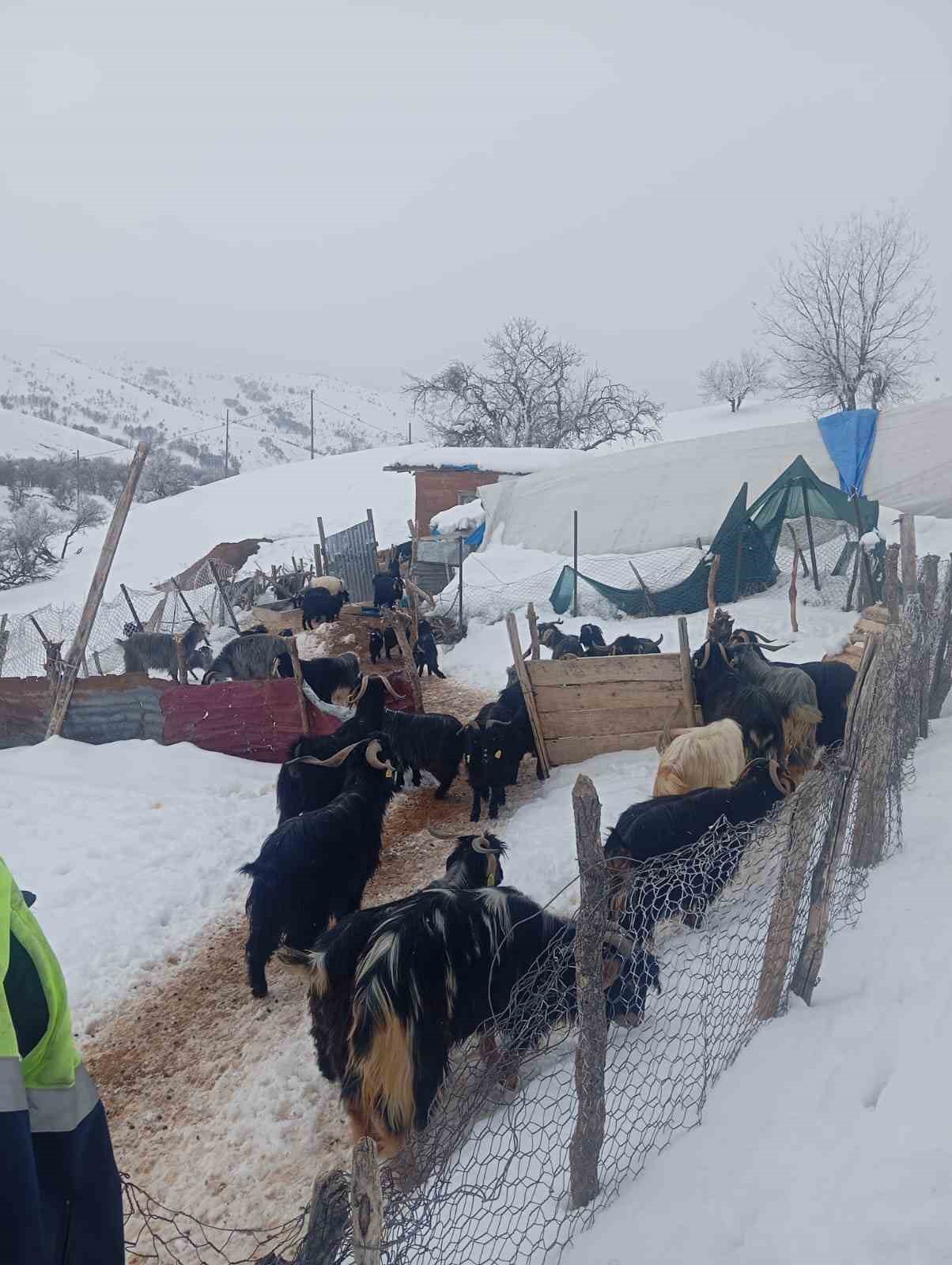 Fırtınada kaybolan kuzu 3 gün sonra sağ bulundu
Fırtınada kaybolan kuzu 3 gün sonra sağ bulundu