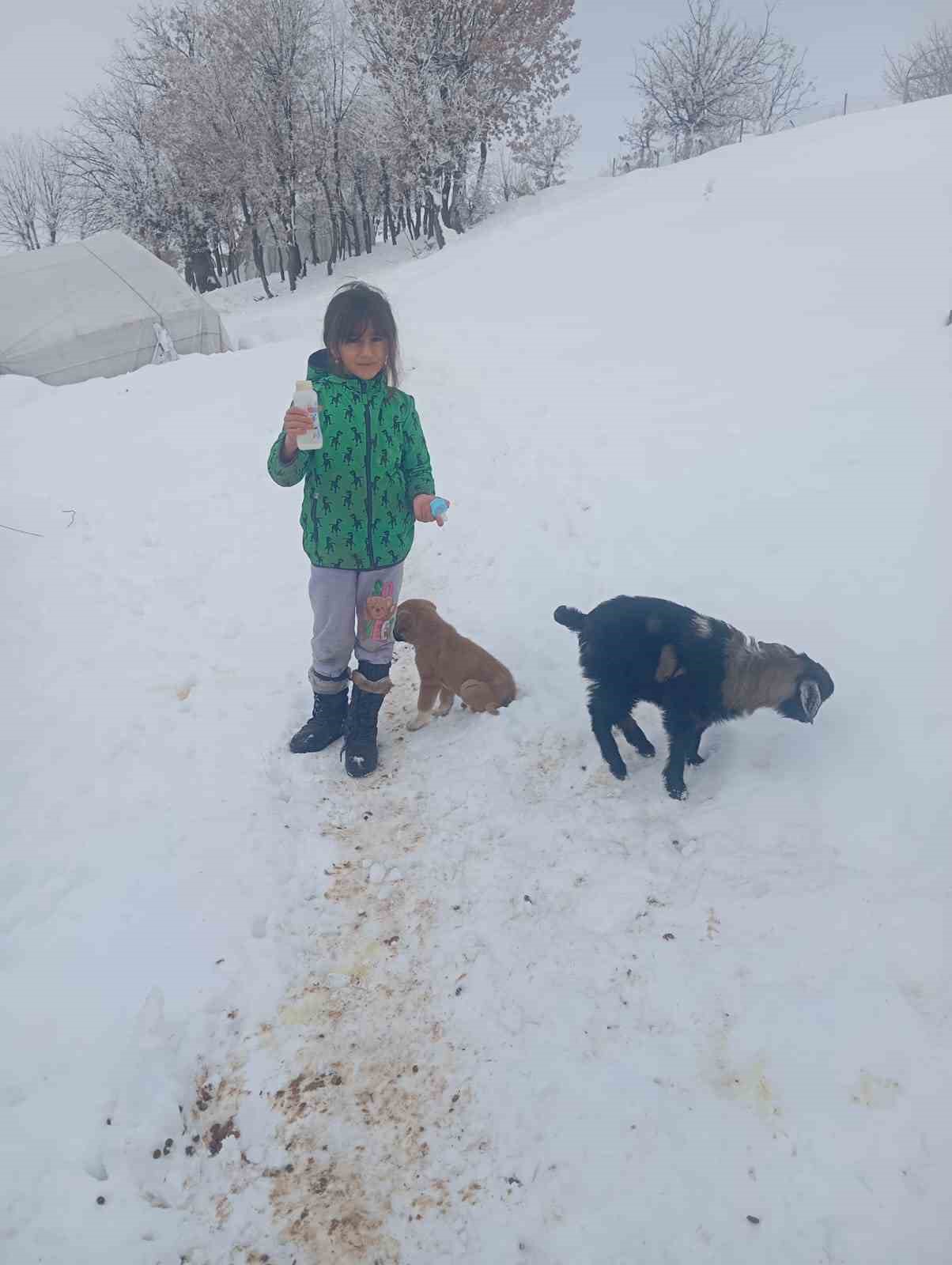 Fırtınada kaybolan kuzu 3 gün sonra sağ bulundu
Fırtınada kaybolan kuzu 3 gün sonra sağ bulundu