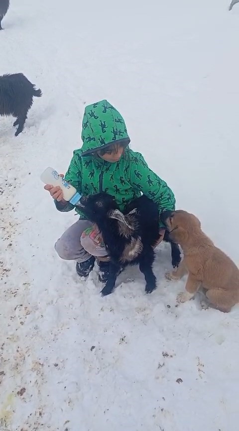 Fırtınada kaybolan kuzu 3 gün sonra sağ bulundu
Fırtınada kaybolan kuzu 3 gün sonra sağ bulundu