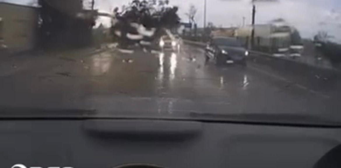 Fırtınanın ağacı devirme anı kamerada
