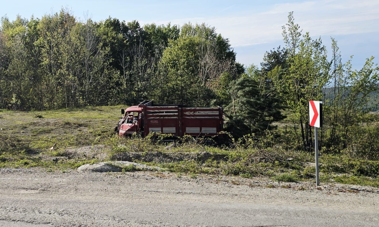 Freni boşalan kamyon başka bir kamyona çarptı: 1 yaralı
