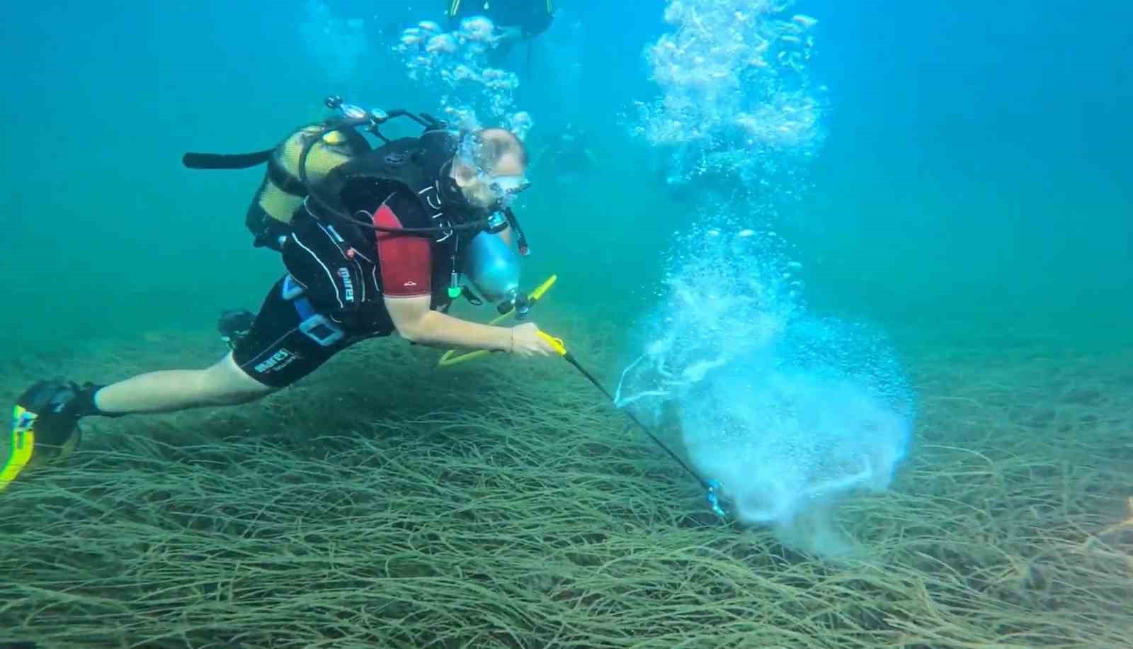 Garanti BBVA ve TURMEPA, deniz çayırlarının korunmasına yönelik çalışmalarını kamuoyuyla paylaştı
