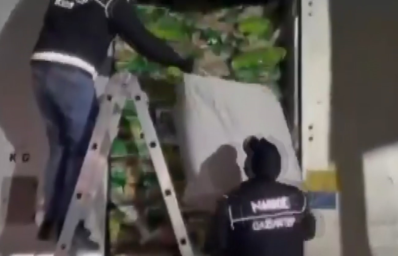 Gaziantep’te 121 kilo skunk ele geçirildi: 1 şahıs tutuklandı
