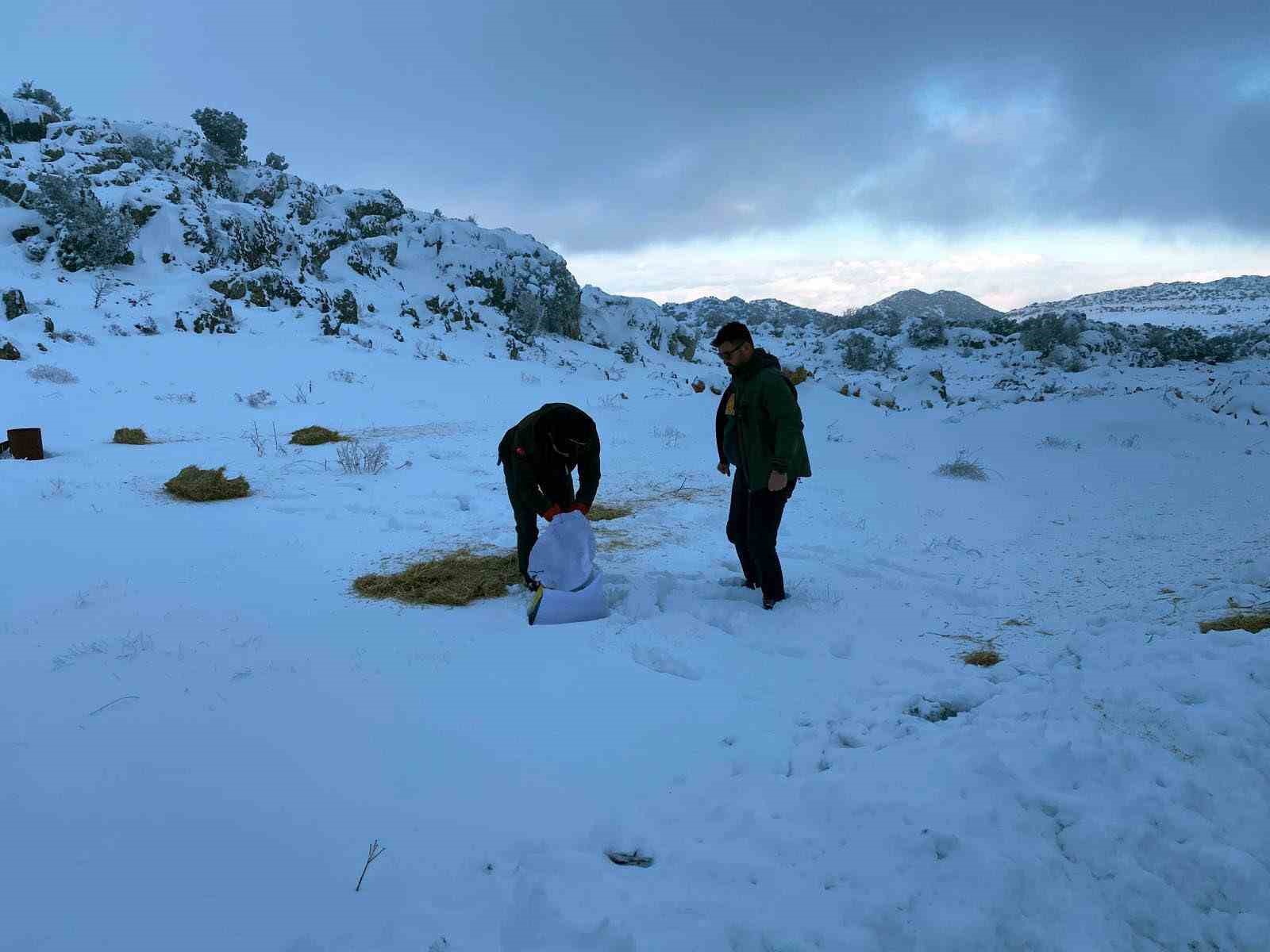 Gaziantep’te karlı havada aç kalan yaban hayvanları için doğaya yem bırakıldı
