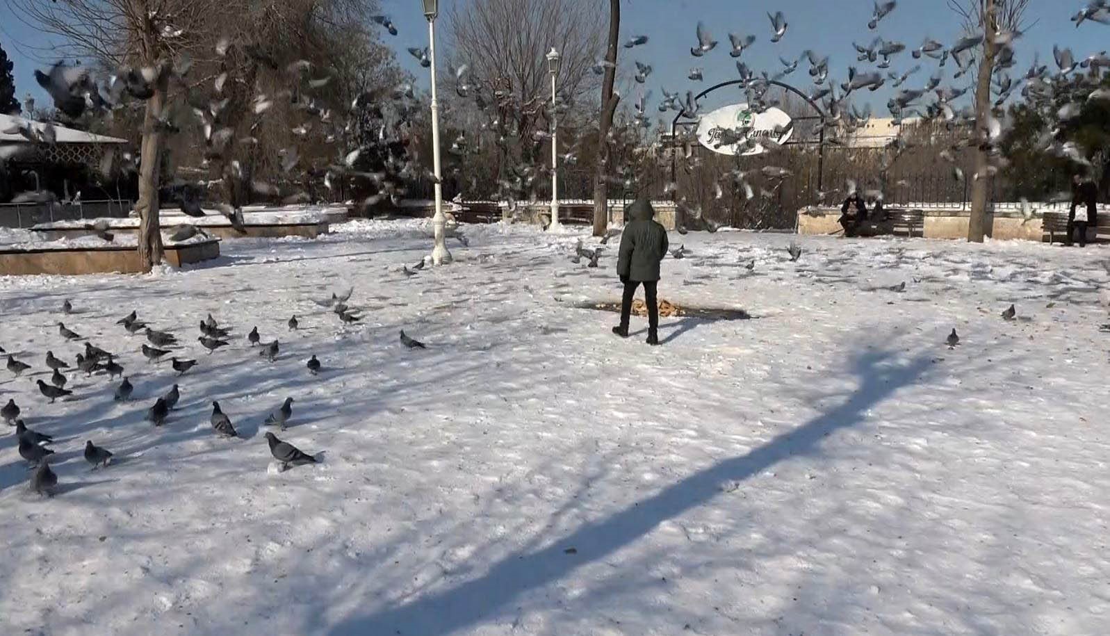 Gaziantep’te vatandaşlar kar ve güneşin tadını çıkardı
Gaziantep’te vatandaşlar kar ve güneşin tadını çıkardı
