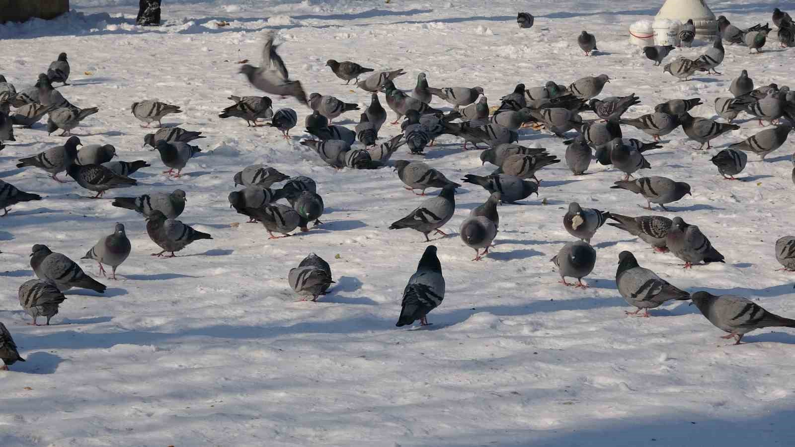 Gaziantep’te vatandaşlar kar ve güneşin tadını çıkardı
Gaziantep’te vatandaşlar kar ve güneşin tadını çıkardı