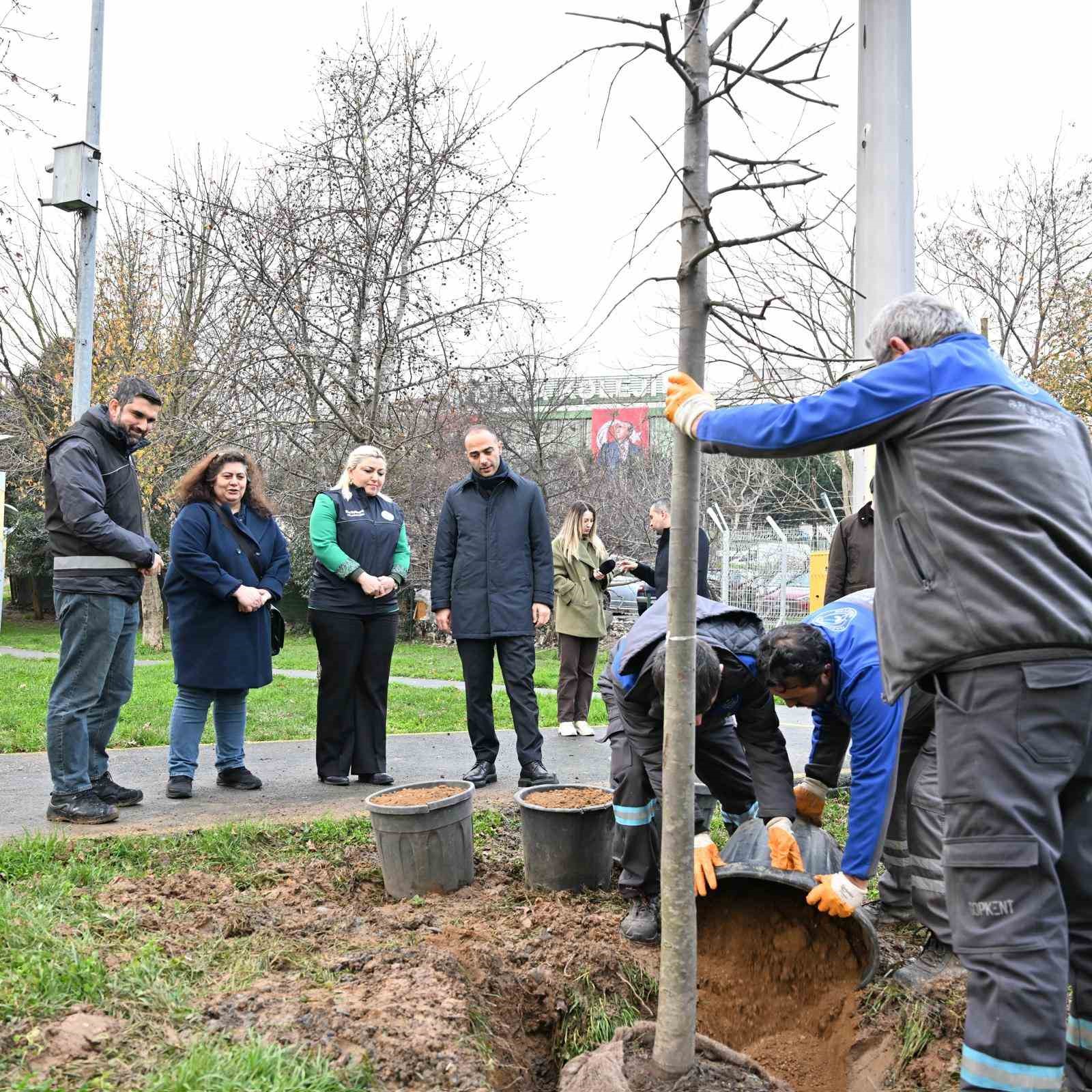 Gaziosmanpaşa’da teke böceği ile mücadele kapsamında yeşil dönüşüm
