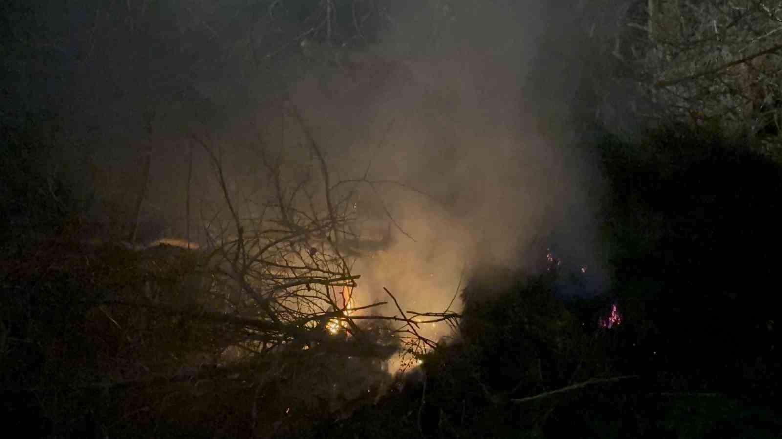 Gazipaşa Selinus Kalesi’ndeki çalılık yangını korkuttu
