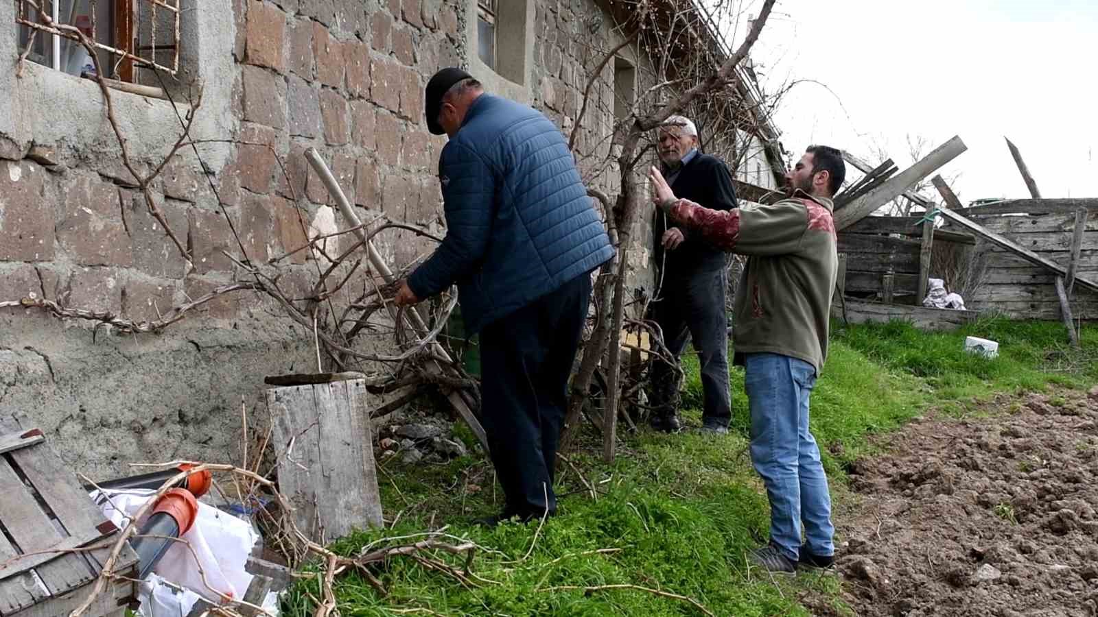Geçen yıl don vurmuştu, Yozgatlı üzüm üreticisi bu yıl umutlu
