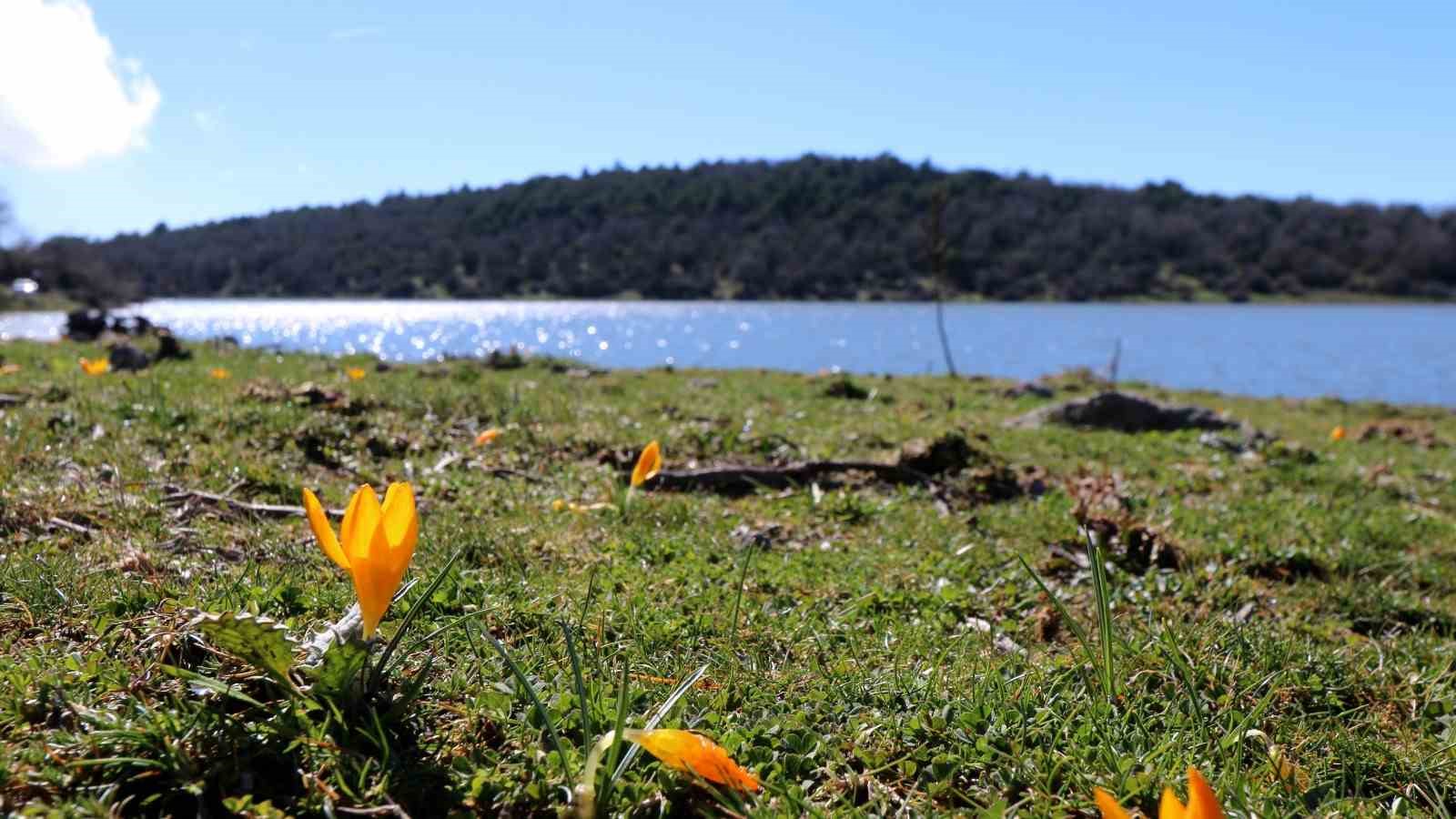 Geçen yıl tamamen kuruyan Tepegöl yeniden su tuttu
Geçen yıl tamamen kuruyan Tepegöl yeniden su tuttu