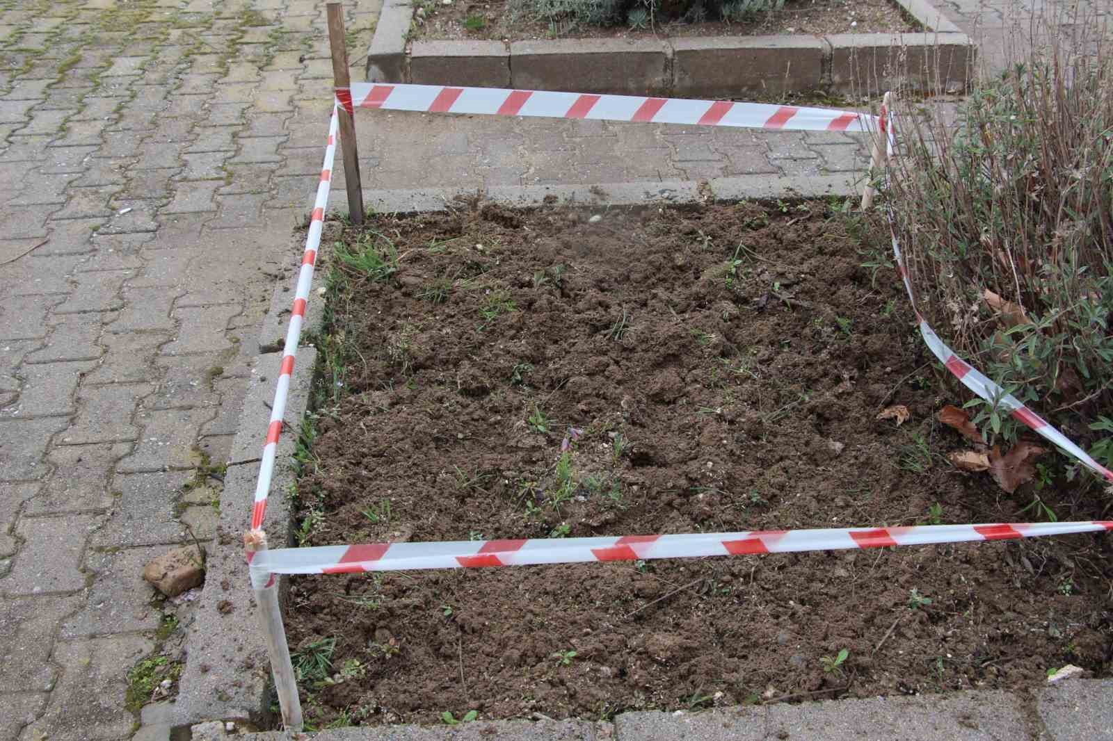 Gediz MYO kampüsünde sürpriz ’Ters Lale’
Gediz MYO kampüsünde sürpriz ’Ters Lale’