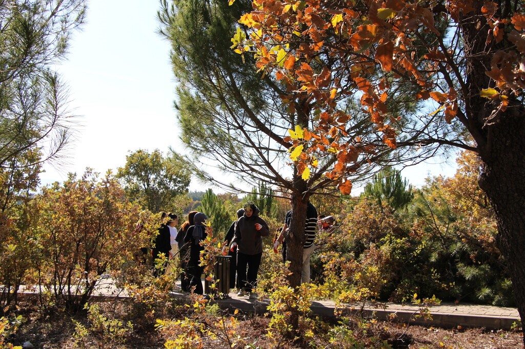 Gediz MYO kampüsünde sürpriz ’Ters Lale’
Gediz MYO kampüsünde sürpriz ’Ters Lale’