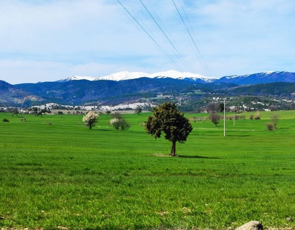 Gediz’de bahar aylarının getirdiği güzellik büyülüyor
