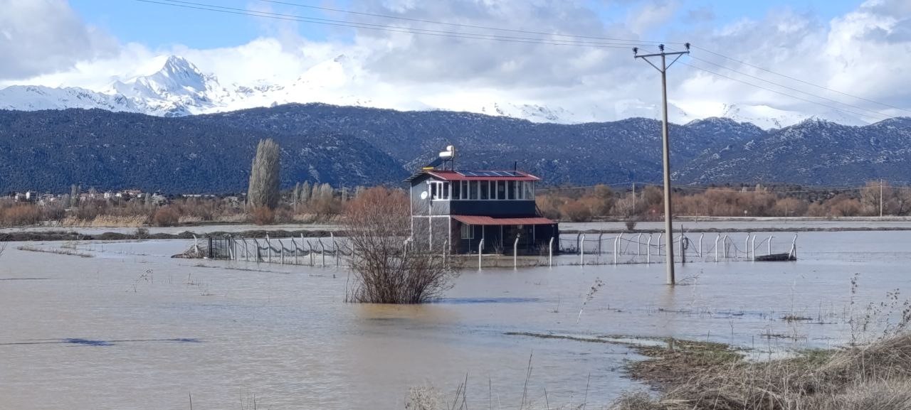 Gembos kanalı taştı, ekili alanlar suyla kaplandı
