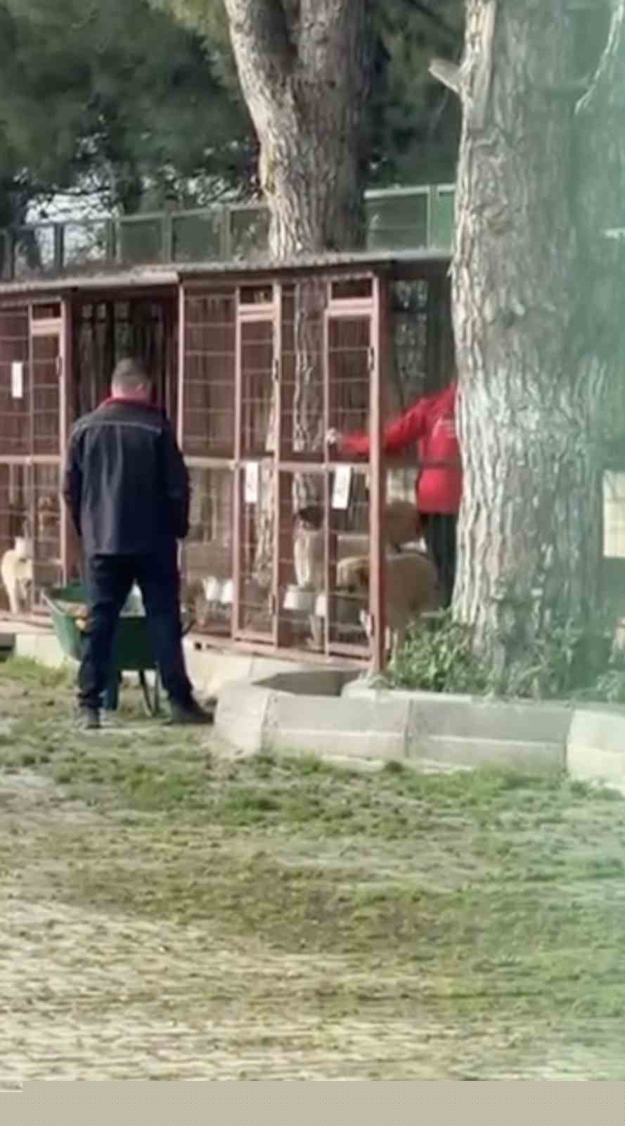 Gemlik Belediyesinin Umurbey’deki barınağını önünde toplanan hayvanseverler içeriye alınmadı
