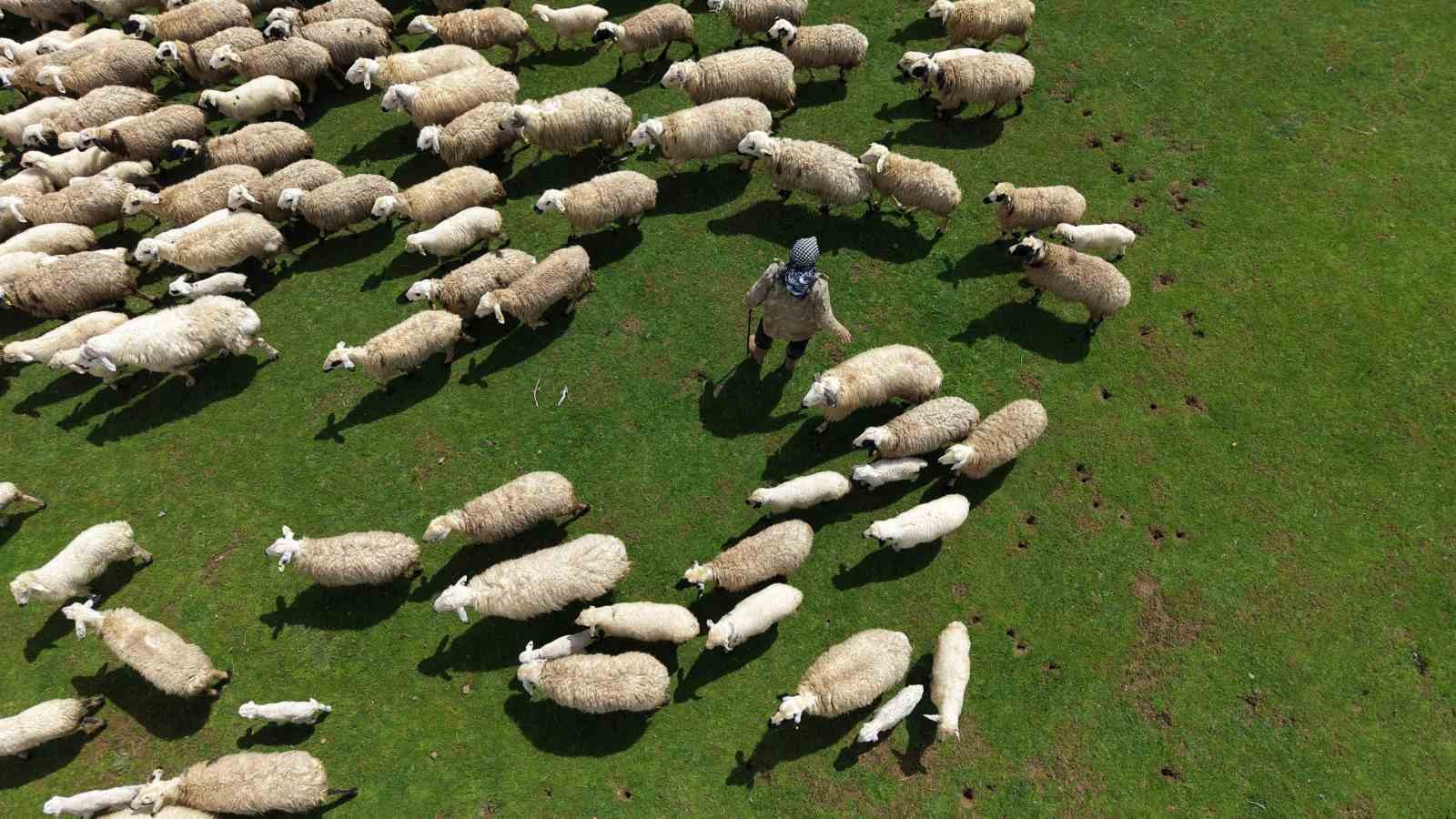 Genç besicilere büyük destek
Genç besicilere büyük destek