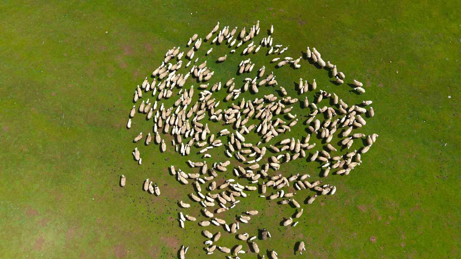 Genç besicilere büyük destek
Genç besicilere büyük destek